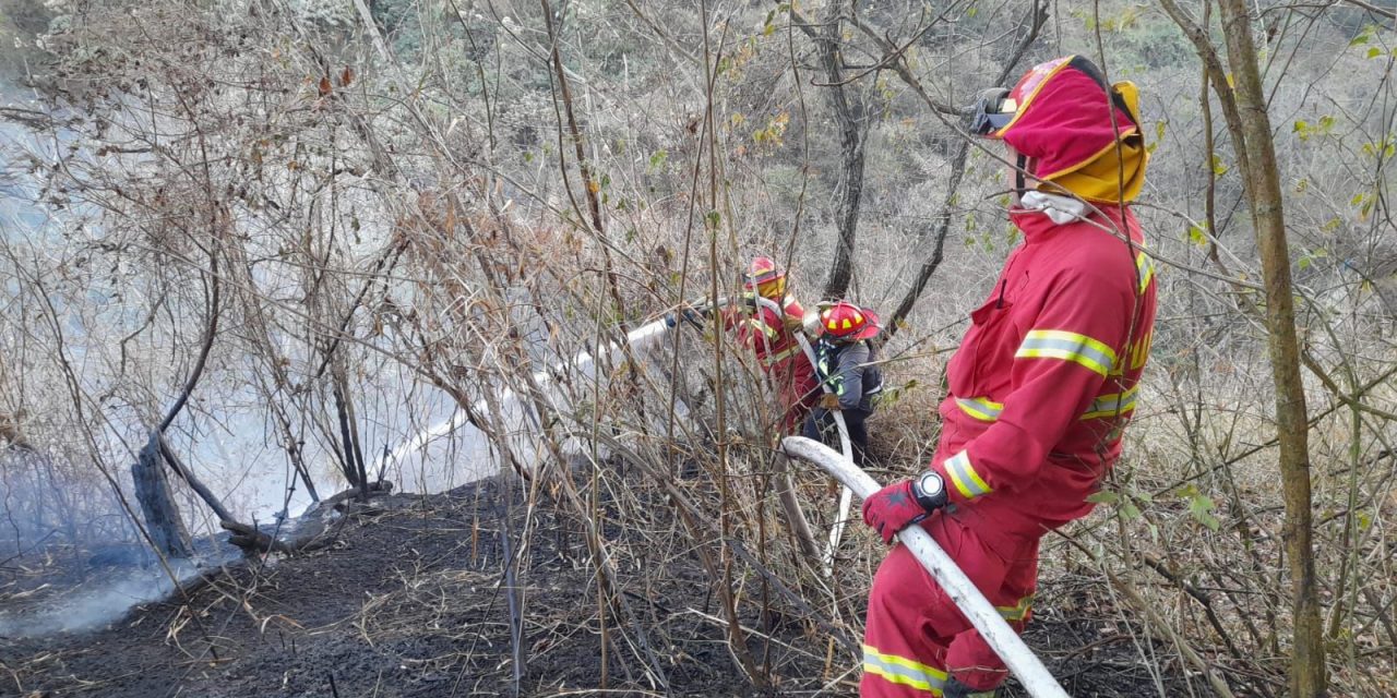 Volcán de Agua: regenerar el bosque tomará más de 10 años